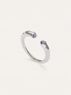 Anillo Cane Cianita
