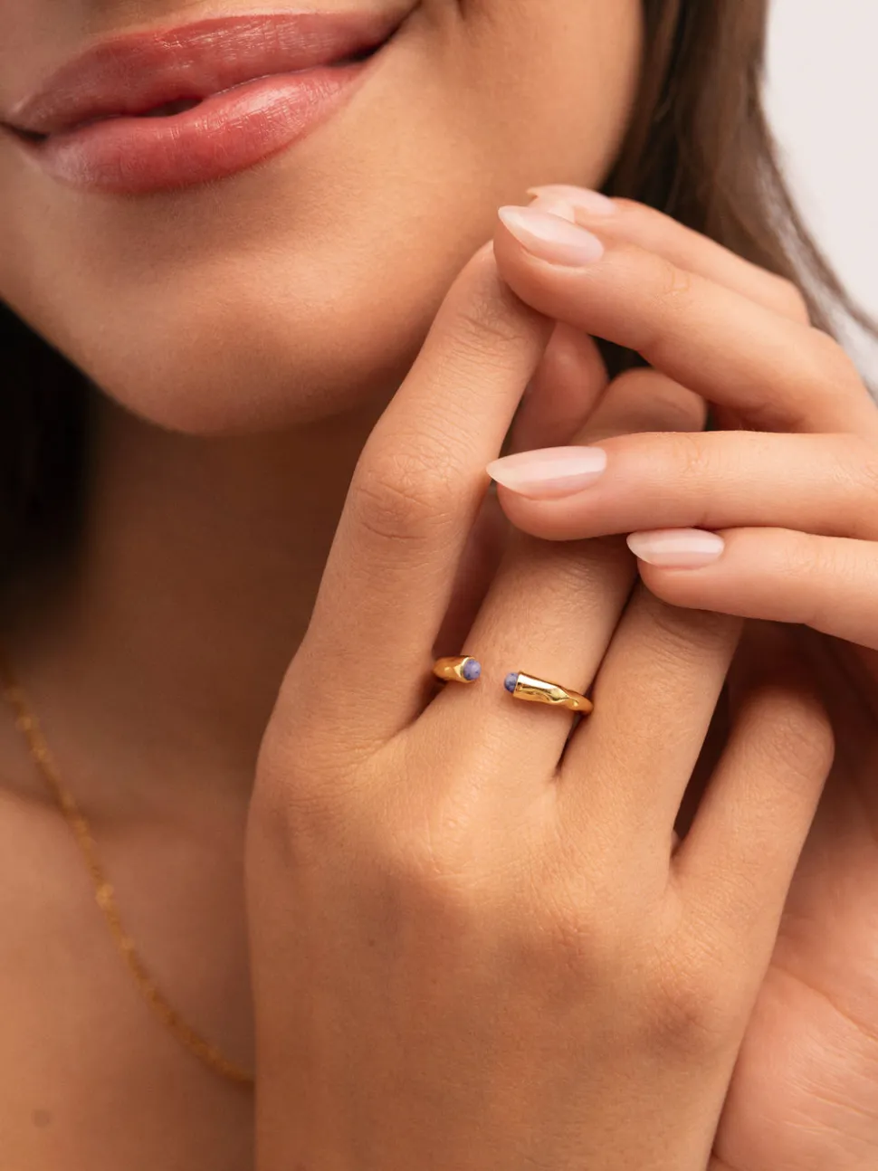 Anillo Cane Cianita Baño Oro