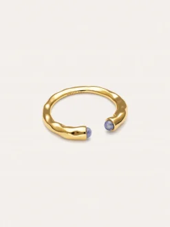 Anillo Cane Cianita Baño Oro