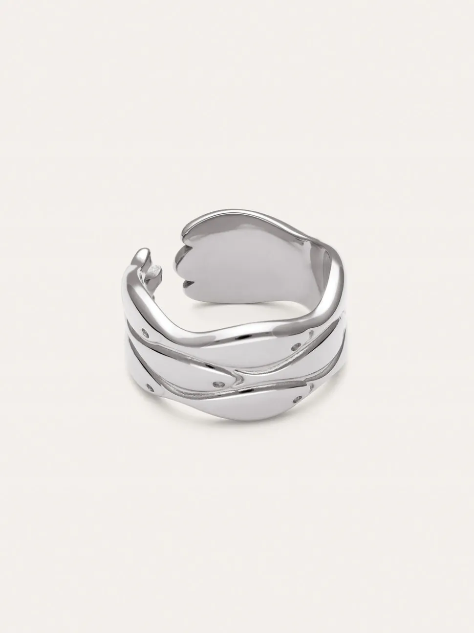 Anillo Maui Acero