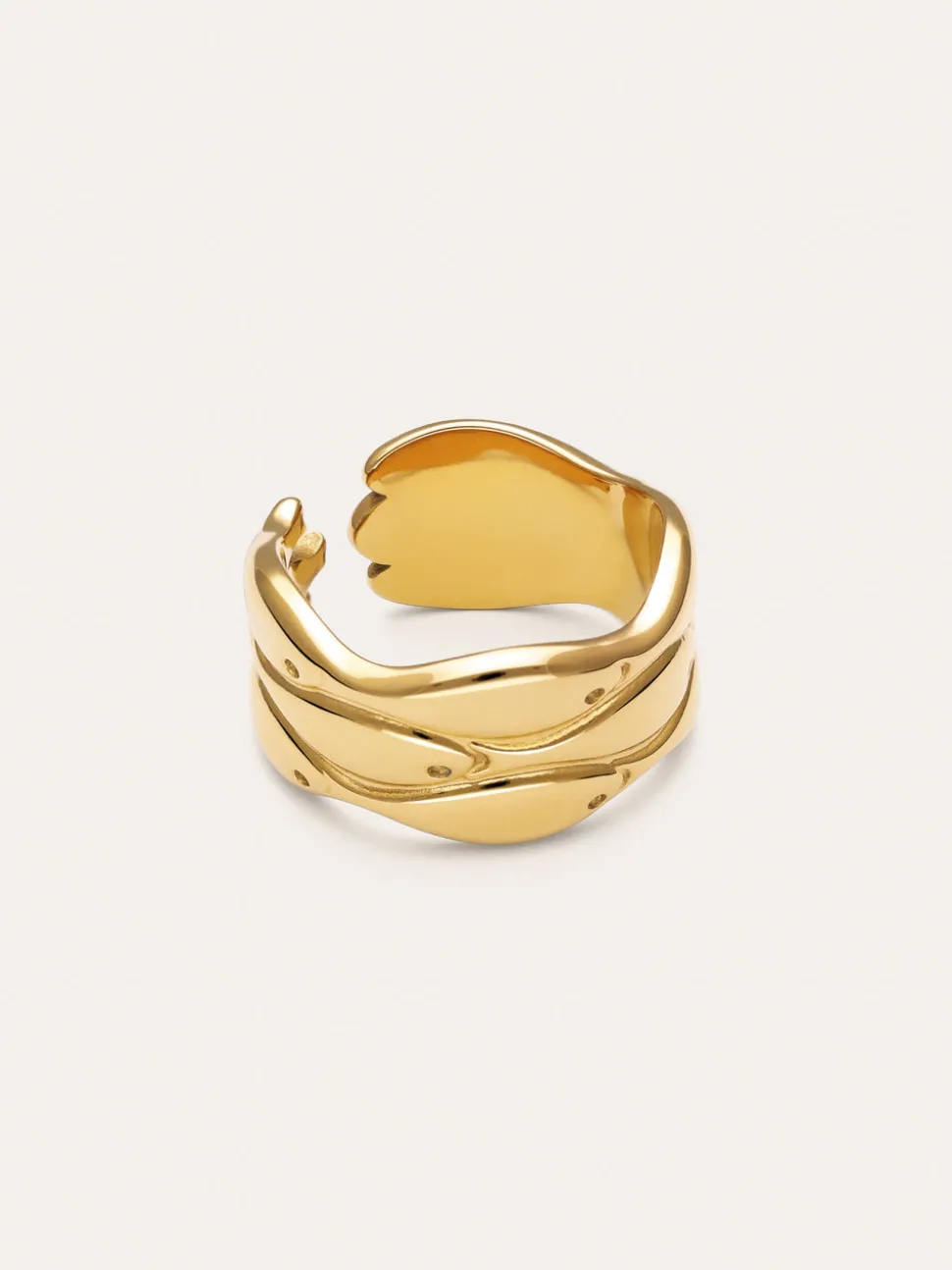 Anillo Maui Acero Baño Oro