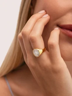 Anillo Rosa de Los Vientos Nácar Baño Oro