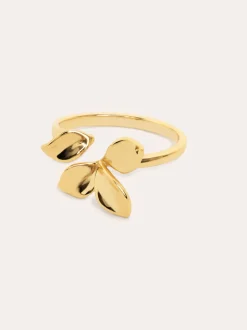 Anillo Zinnia Baño Oro