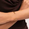 Brazalete Cane Cianita Baño Oro