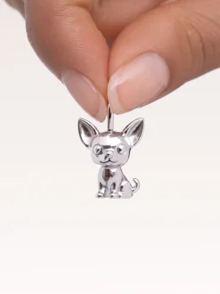 Charm Chihuahua