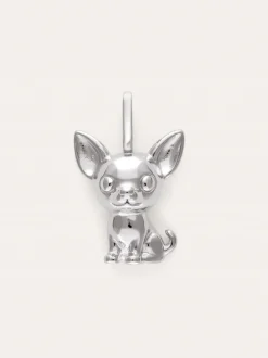 Charm Chihuahua