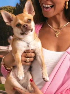 Charm Chihuahua Baño Oro