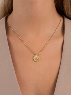 Collar Bling Rainbow Acero Baño Oro