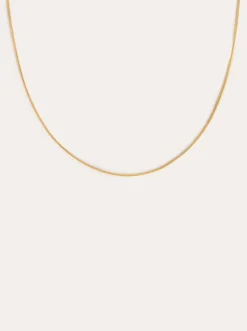Collar Tail Acero Baño Oro