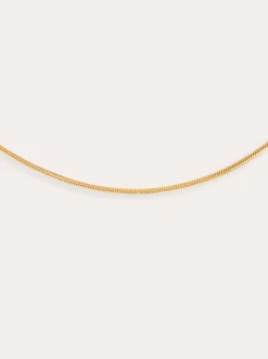 Collar Tail Acero Baño Oro